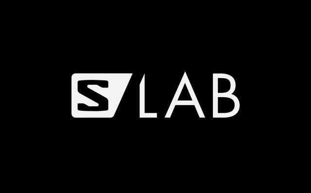 Salomon Lab