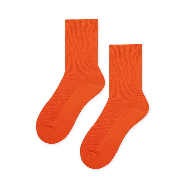 Colorful Life - Angel Red Shrimp 天使紅蝦 Made in Taiwan-Accessories-Navy Selected Shop