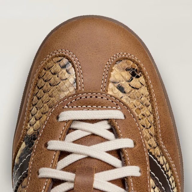 Wales Bonner x adidas Gazelle Snake - Supplier Colour/Dark Brown/Wonder White-Preorder Item-Navy Selected Shop