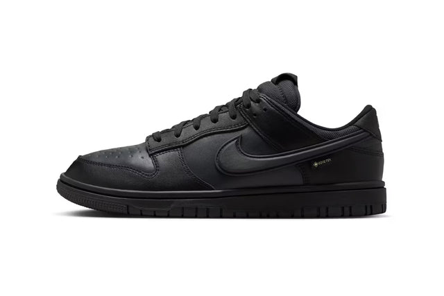 Nike Dunk Low Goretex - Black/Anthracite/Off-Noir