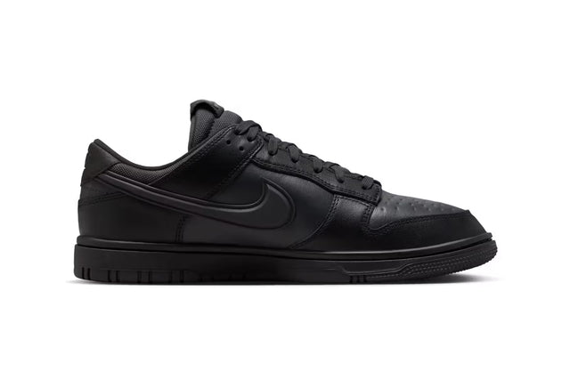 Nike Dunk Low Goretex - Black/Anthracite/Off-Noir